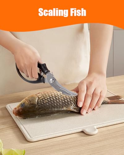 Kitchen Shears