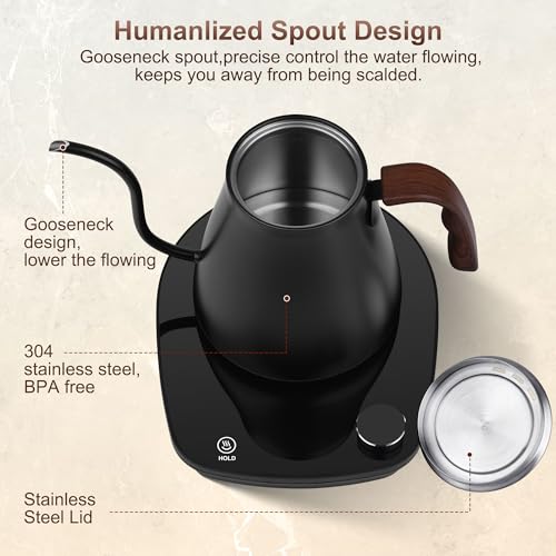 Gooseneck Electric Kettle (Black)