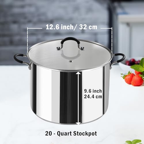 Stainless Steel Water Bath Canning Pot with rack and Lid (20 Quarts)