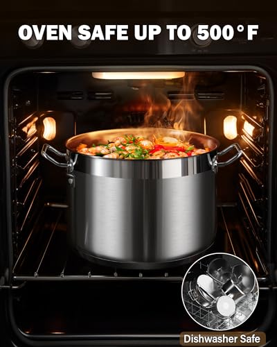 Professional 8 Quart Stainless Steel Stock Pot with Lid (8.5 Quarts / Silver)