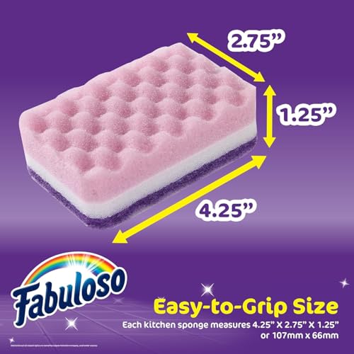 Scratch Free Kitchen Dish Sponges (Purple / 4 Count (Pack of 2))