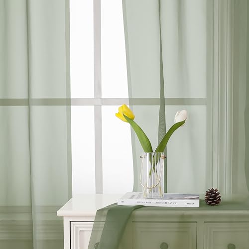 Sage Green Sheer Curtains 84 Inches Long 2 Panels Set (Sage Green / 40"W x 84"L (Pack of 2))
