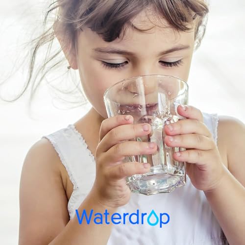 Genuine] Waterdrop PF