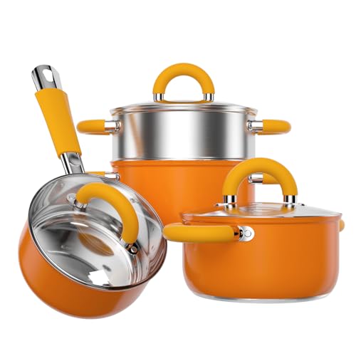 Stainless Steel Cookware Set (Set/7ORA)