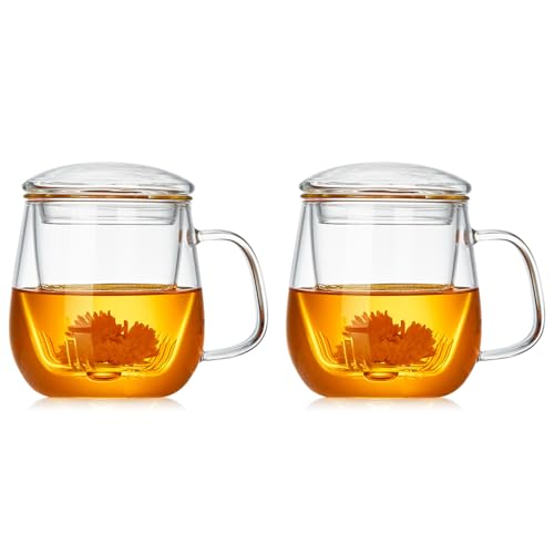 Glass Teacups 2 Pack Glass Tea Cup with Infuser and Lid