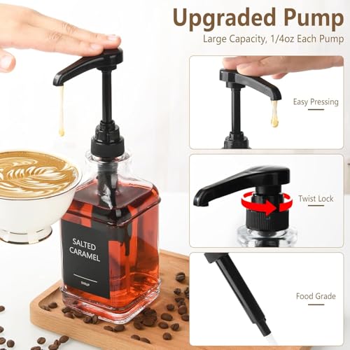 3 Pack 16.9oz (Clear / 16oz/500ml Square)