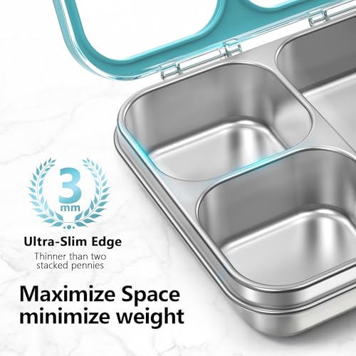 Stainless Steel Bento Lunch Box 3 (Blue / 34oz (1000ml))