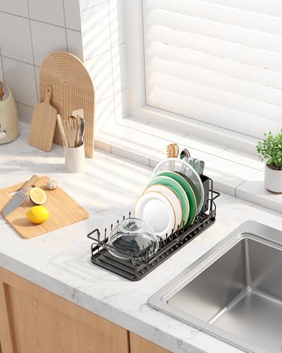Expandable Dish Rack for Kitchen Counter (Black / 14.0"-20.9" x 6.3" x 8.0")