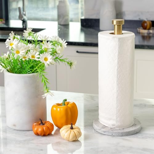 Paper Towel Holder Countertop (River White)