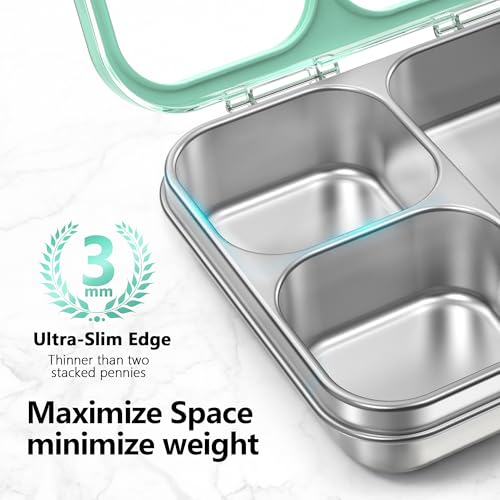 Stainless Steel Bento Lunch Box 3 (Green / 34oz (1000ml))