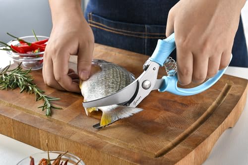 Heavy Duty Poultry Shears (Aqua Sky)