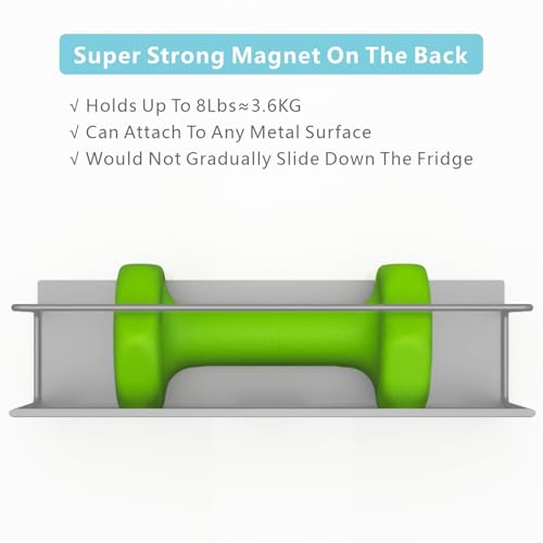 Magnetic Spice Rack For Refrigerator (4 Pack / Grey)