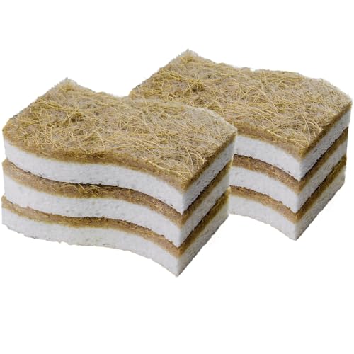 Sponges Kitchen Natural Dish Sponge Plant (Pack of 6)