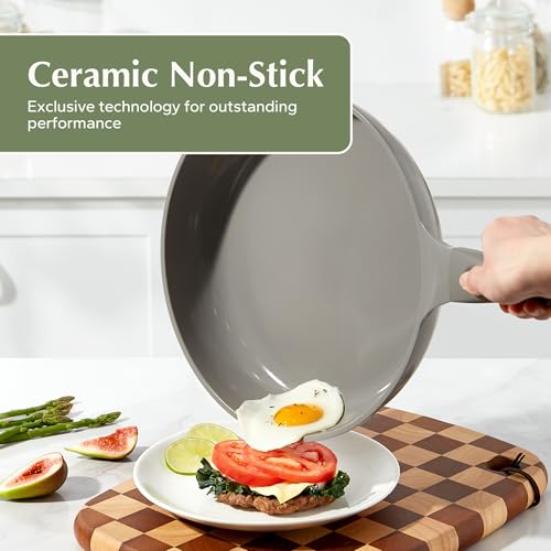 Nonstick Frying Pan Skillet (Gray / 9.5inch Frying Pan)