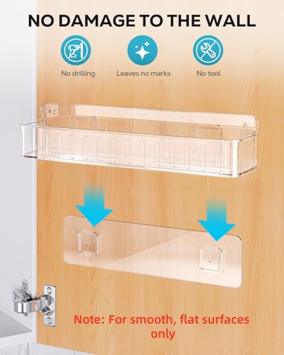 Spice Rack Wall Mount (Clear)