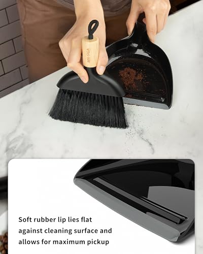 Mini Dustpan and Brush Set (Black)