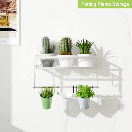 Paper Towel Holder Wall Mount with Shelf Self Adhesive (Brushed Nickel Finish / 1 Pack)