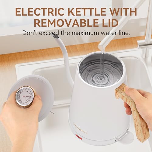 Electric Gooseneck Kettle with Thermometer (WHITE)
