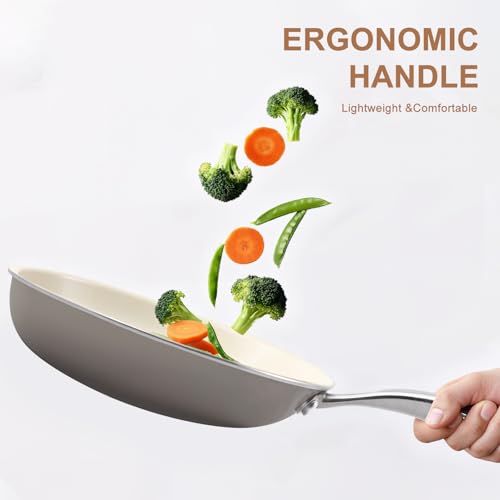 11 Inch Ceramic Nonstick Frying Pan with lid Skillet (11 inch with lid)