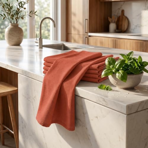 Kitchen Towels Cotton Dish Towels 20”x30” (20" x 30" (Set of 6) / 158 Rust)