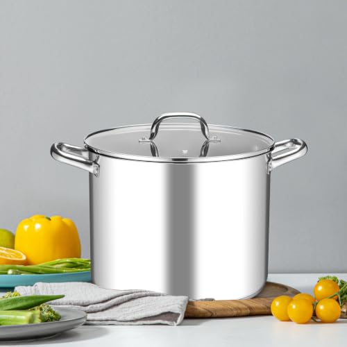 16 Quart Stock Pot with Lid (16 Quarts)
