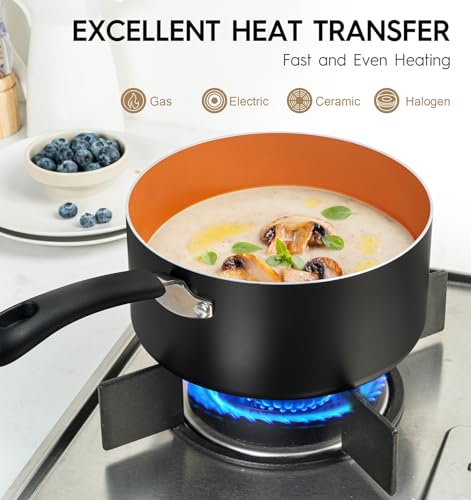 3 Quart Nonstick Sauce Pan with Lid (Copper / 3QT)