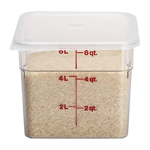 Food Storage Container (6 QT)