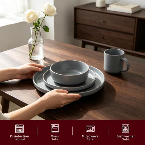 HomeVSS 20 Piece Dinnerware Set (Service for 4 - 20pc Set / Matte Grey)