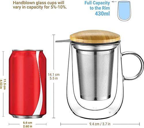 Double Wall Tea Infuser Mug with Infuser 14.5oz for Loose Leaf Tea (Type 1 Transparent)