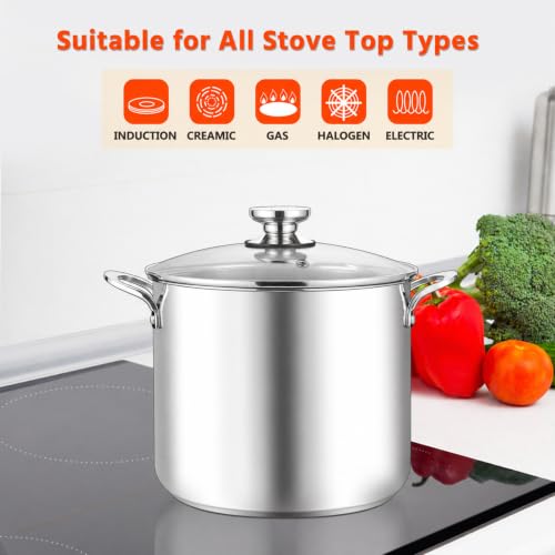 12 Qt Stock Pot with Lid (12 Quarts)
