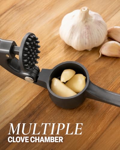 Premium Garlic Press Set (Large | Dark Gray)