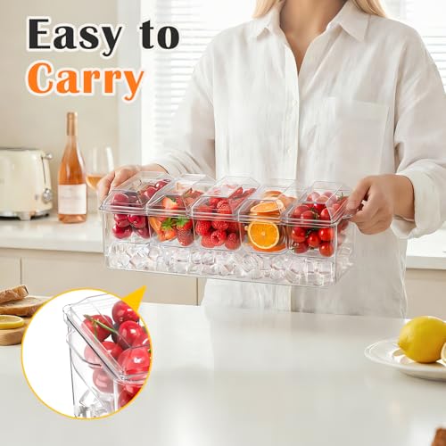 Condiment Tray