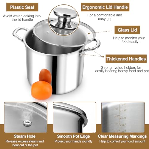 12 Quart Tri Ply Stainless Steel Stock Pot (12 Quarts)