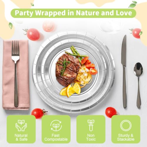 Silver Paper Plates (Silver / 50 Count (25-9" & 25-7"))