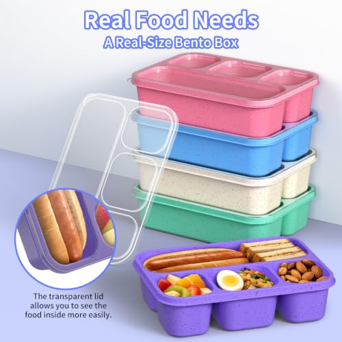 Bento Box 5 Pack (5 Colors)