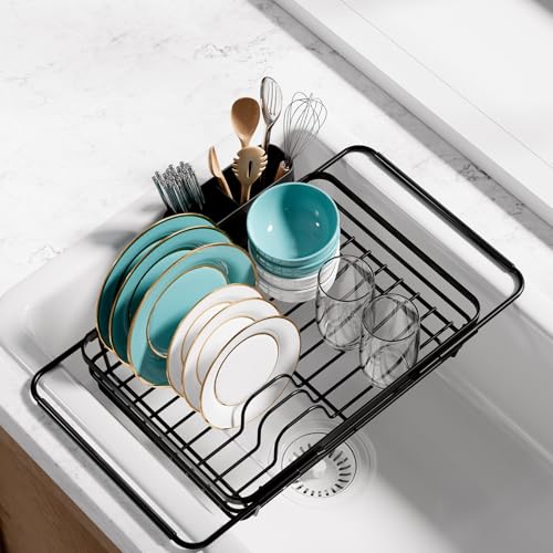 Dish Drying Rack in Sink (Black / With Drainboard - 15.2" x 10" x 4.2")