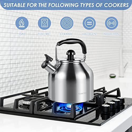 304 Stainless Steel Tea pot Kettles (4.2 Quarts)