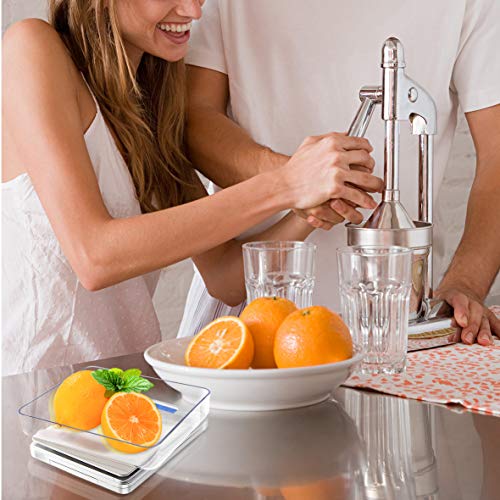 Digital Gram Scale .01 Gram Accuracy (Silver)