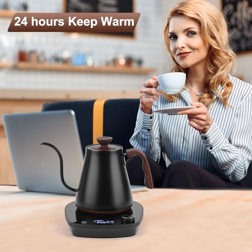 Gooseneck Electric Kettle (Black)