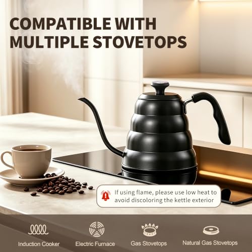 Gooseneck Kettle with Thermometer (Black)