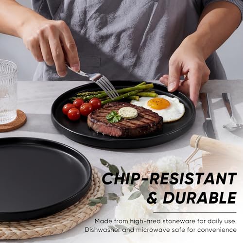 Dinner Plates Set of 6 (Matte Black / 10.5'')