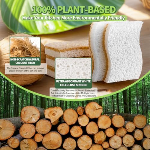 Sponges Kitchen Natural Dish Sponge Plant (Pack of 16)