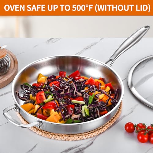 Stainless Steel Pan 14 (Stainless Steel)