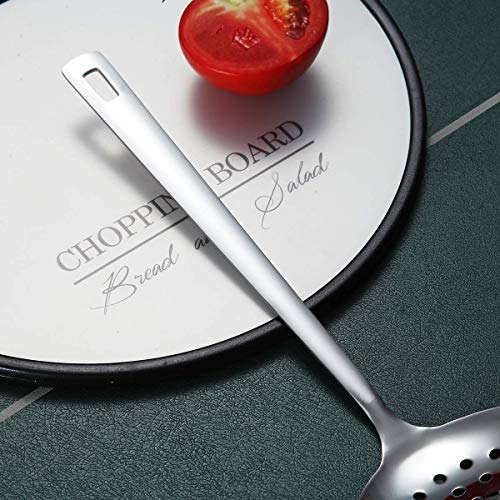 Stainless Steel Skimmer (H. Skimmer)