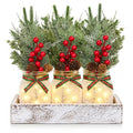 Mason Jar Christmas Centerpieces for Tables (Snowflake)