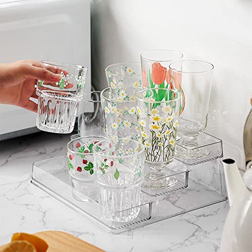 Acrylic Spice Rack (1pcs)