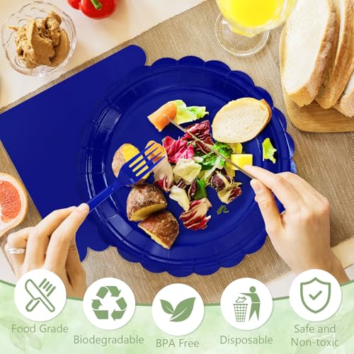 100 Royal Blue Paper Plates and Napkins Disposable for Party (Royal Blue 100 Plate Set / 7 & 9-inch Set)