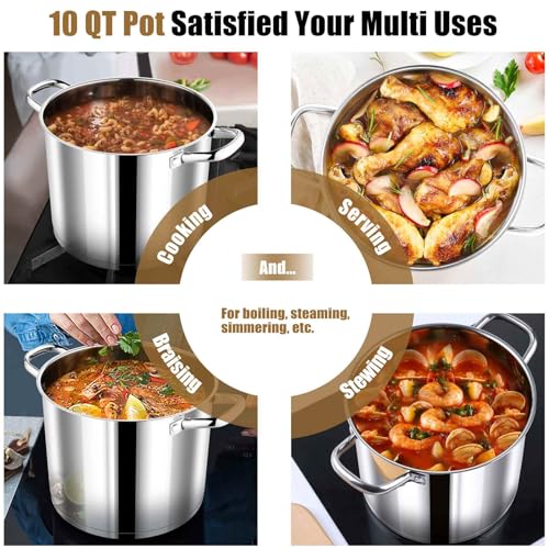 10 QT Stainless Steel Stock Pot with Lid (10 Quarts)