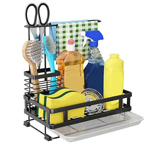 Kitchen Sink Organizer with Brush Rack