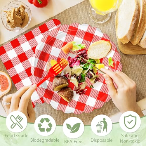 75 Red Gingham Paper Plates and Napkins Disposable for Picnic (Red Gingham 75 Plates Set / 7-inch Set)